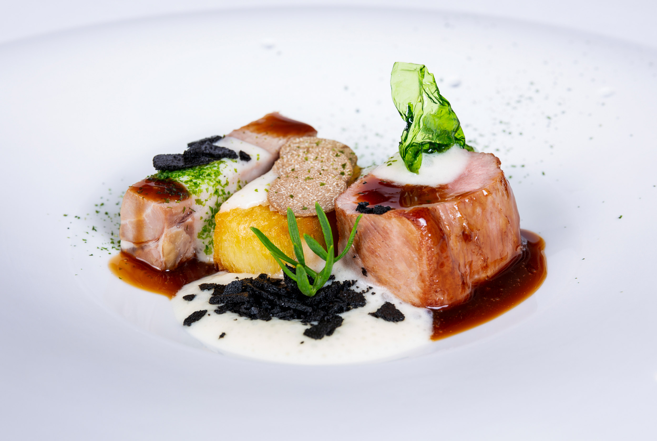 Land evolution Gaetano Trovato Chef Land evolution