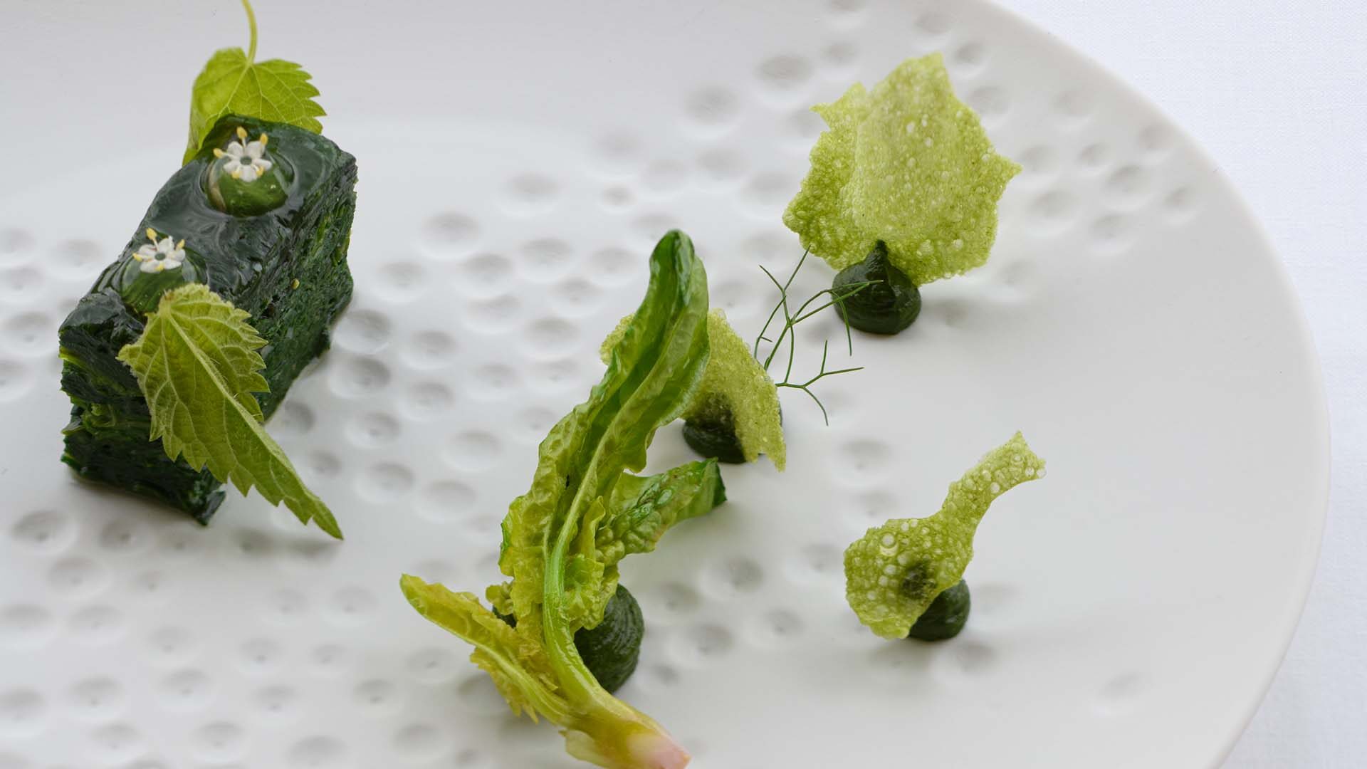 Vegetable impressionism Vegetable impressionism