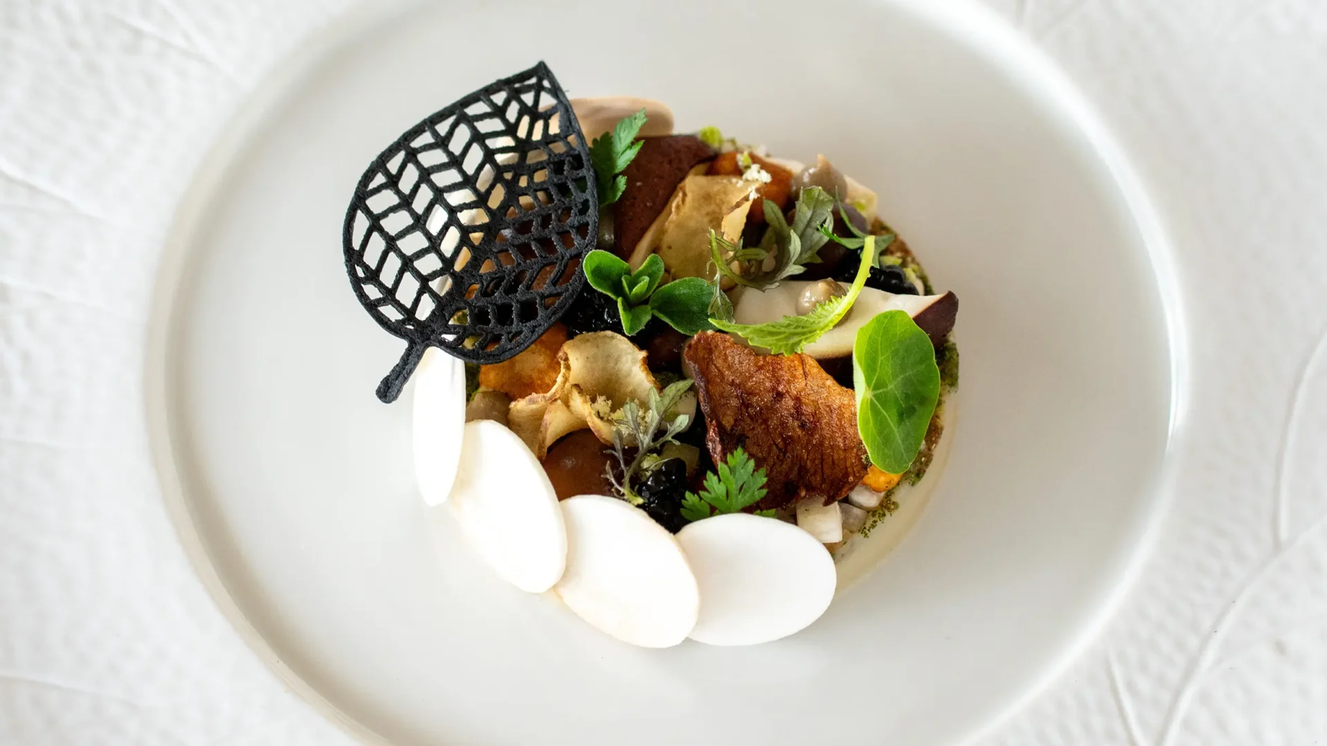 Contemporary Classics