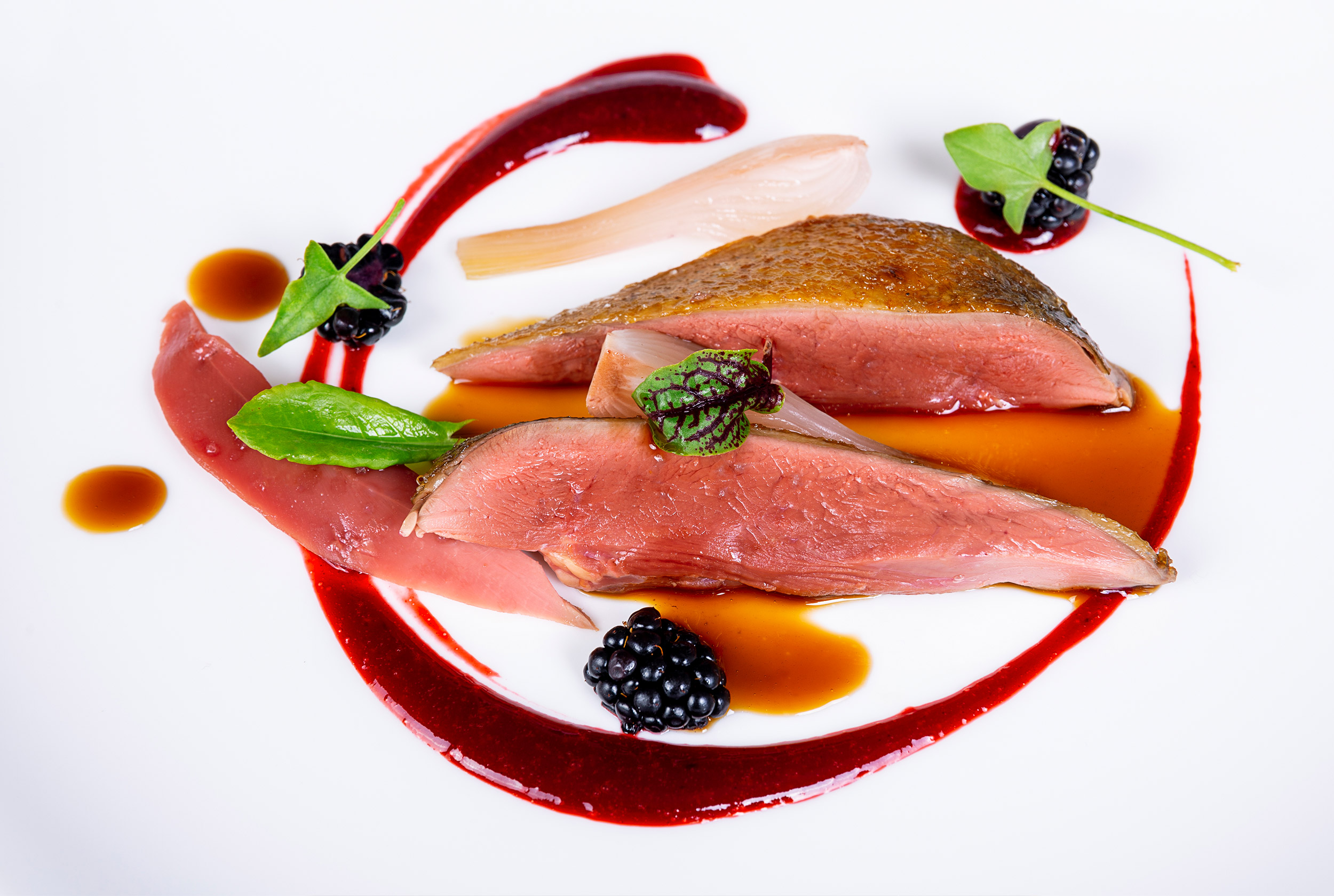 Land evolution Gaetano Trovato Chef Land evolution